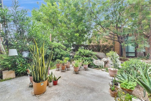 10642 Shoreline Dr Unit 80, Norwalk, CA 90650 - view of patio / terrace