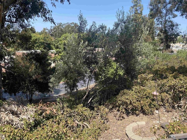 4547 Contour Blvd, San Diego, CA 92115 - view of nature