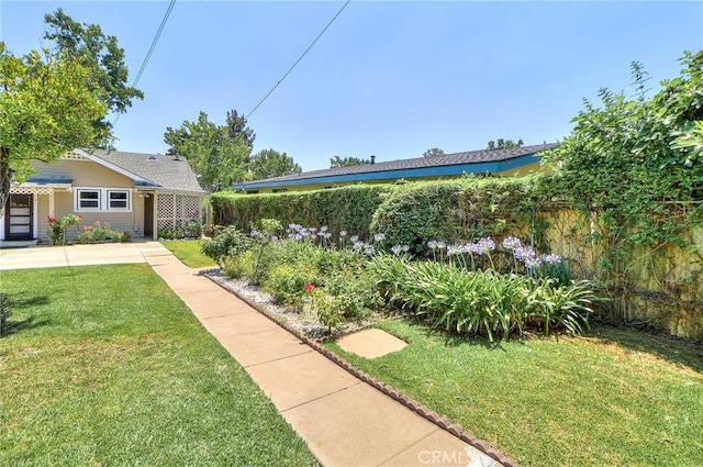 845 N Curtis Ave, Alhambra, CA 91801 - view of yard