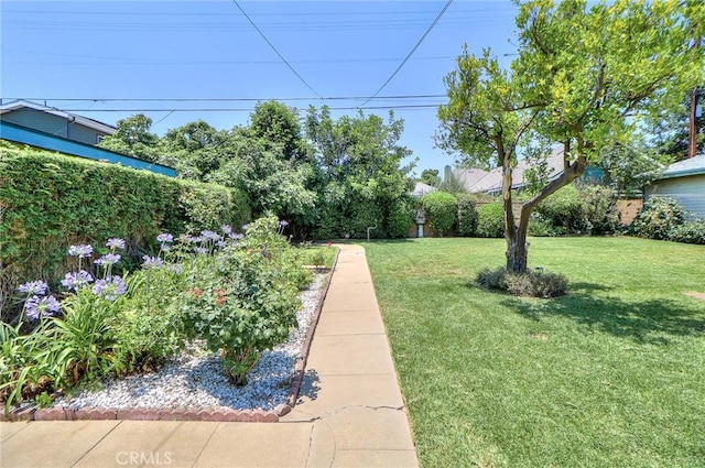 845 N Curtis Ave, Alhambra, CA 91801 - view of green lawn