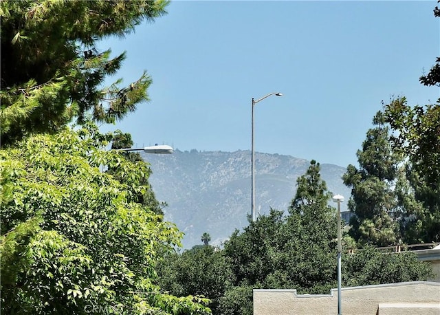 121 Sinclair Ave Unit 241, Glendale, CA 91206 - photo 51