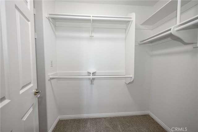 13056 Hagar St, Sylmar, CA 91342 - spacious closet featuring carpet flooring