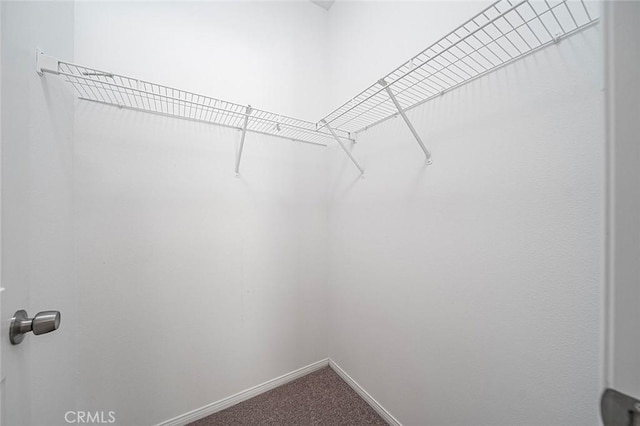 12038 Diego Ct, Moreno Valley, CA 92557 - walk in closet featuring carpet