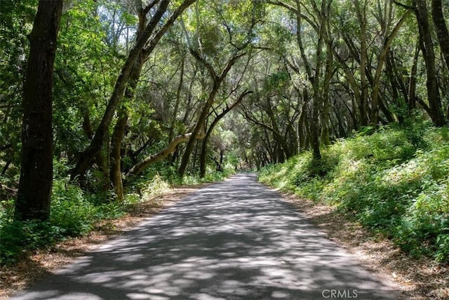 4190 Shadow Canyon Rd, Templeton, CA 93465 - view of road with a wooded view