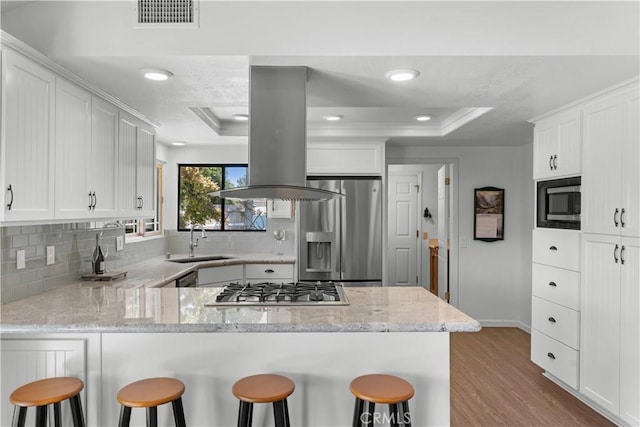 181 Eucalyptus Rd, Nipomo, CA 93444 - kitchen with stainless steel appliances, a tray ceiling, a peninsula, decorative backsplash, and recessed lighting