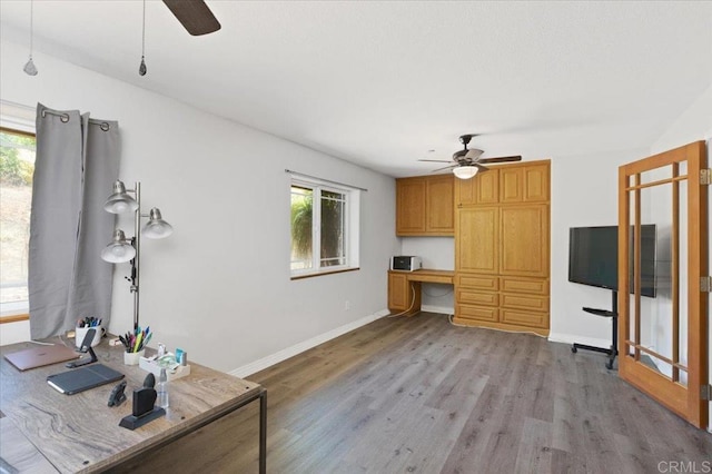 28880 Mac Tan Rd, Valley Center, CA 92082 - unfurnished office with a ceiling fan, healthy amount of natural light, and light wood-style flooring