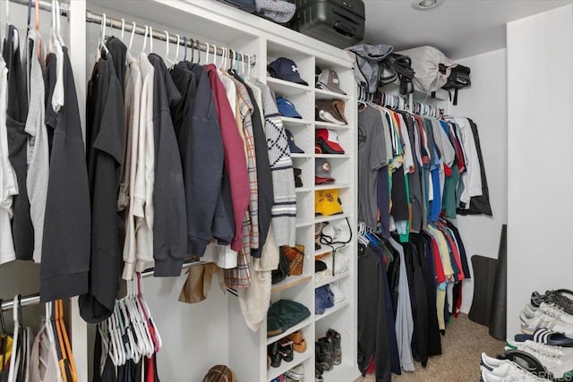28880 Mac Tan Rd, Valley Center, CA 92082 - spacious closet with carpet floors