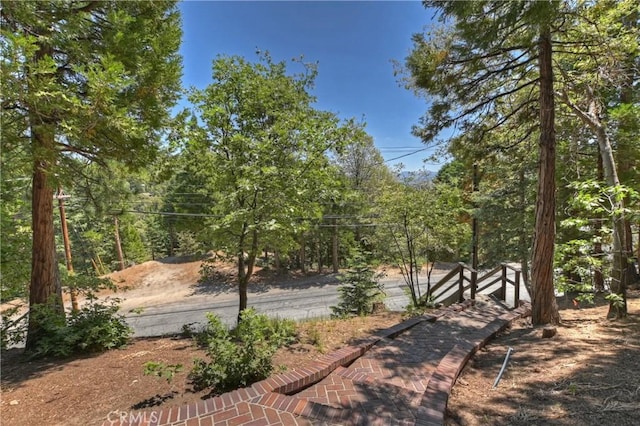 544 Old Toll Rd, Lake Arrowhead, CA 92352 - view of yard