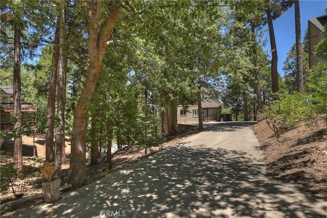 544 Old Toll Rd, Lake Arrowhead, CA 92352 - view of asphalt driveway