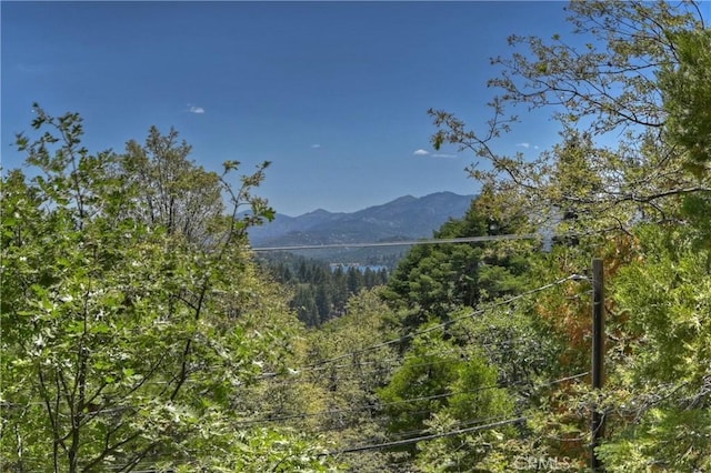 544 Old Toll Rd, Lake Arrowhead, CA 92352 - mountain view featuring a heavily wooded area