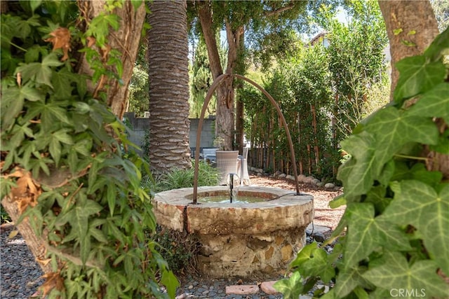 1551 N Beverly Glen Blvd, Los Angeles, CA 90077 - view of yard