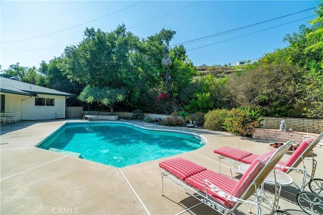 211 Peacock Ln, Montebello, CA 90640 - swimming pool with a patio and a diving board