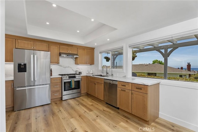 416 Via Pichon, San Clemente, CA 92672 - kitchen featuring stainless steel appliances, under cabinet range hood, a tray ceiling, light wood-type flooring, and backsplash
