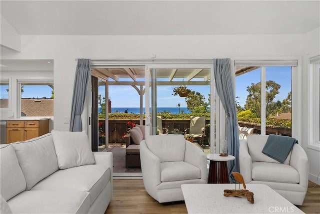 416 Via Pichon, San Clemente, CA 92672 - living room with wood finished floors and plenty of natural light