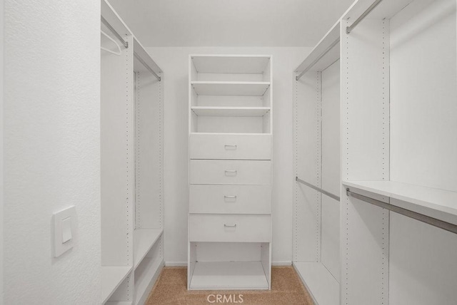 232 Villa Point Dr, Newport Beach, CA 92660 - walk in closet featuring light colored carpet