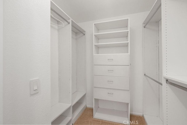232 Villa Point Dr, Newport Beach, CA 92660 - spacious closet with carpet flooring