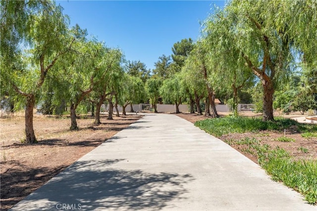 35356 Sierra Vista Dr, Agua Dulce, CA 91390 - view of community