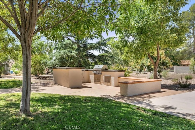 35356 Sierra Vista Dr, Agua Dulce, CA 91390 - view of patio / terrace with an outdoor kitchen