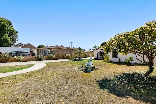 6681 Rostrata Ave, Buena Park, CA 90621 - view of yard