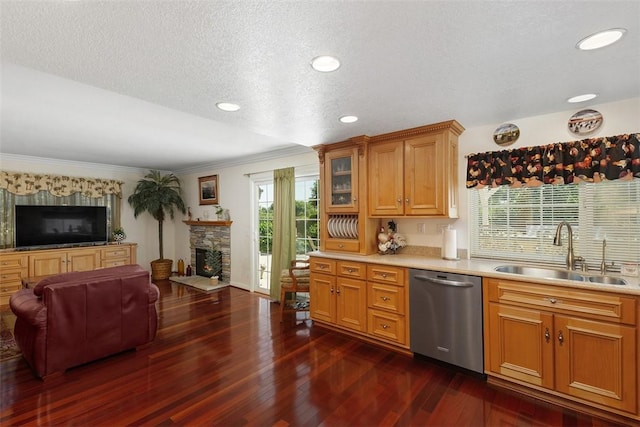 2531 Wildcat Ln, Riverside, CA 92503 - kitchen featuring dishwasher, light countertops, a stone fireplace, dark wood-style flooring, and ornamental molding