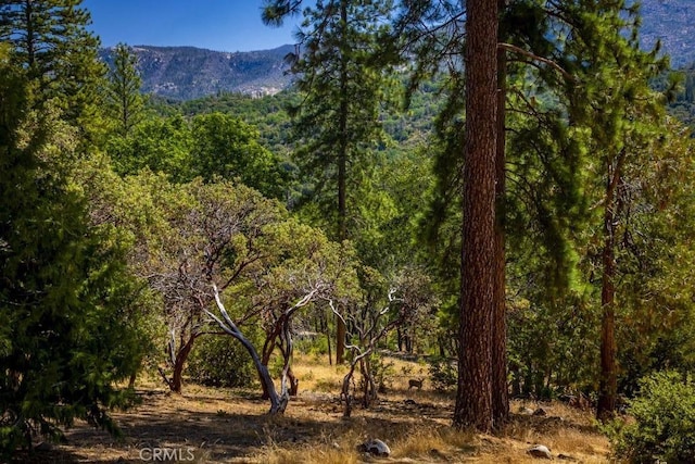 35853 Sierra Linda Dr, Wishon, CA 93669 - view of wooded area with a mountain view