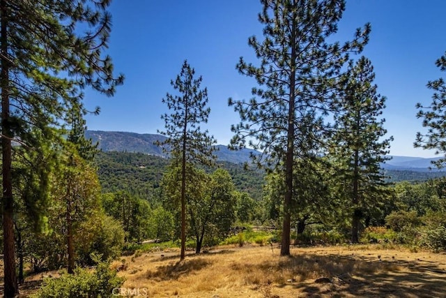 35853 Sierra Linda Dr, Wishon, CA 93669 - mountain view with a heavily wooded area