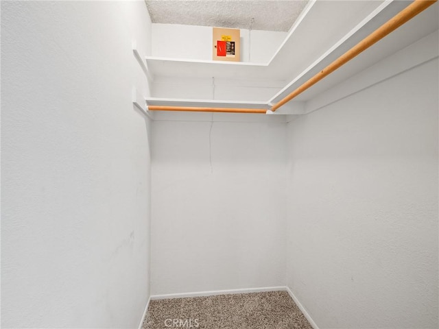 17911 Juniper St, Hesperia, CA 92345 - spacious closet featuring carpet flooring