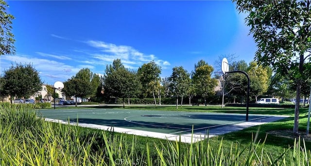 14 Tall Oak, Irvine, CA 92603 - view of basketball court with community basketball court