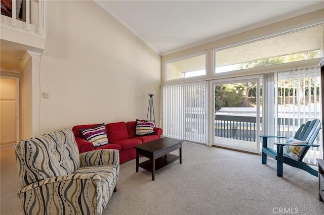 603 S Prospect Ave Unit 305, Redondo Beach, CA 90277 - carpeted living area featuring crown molding