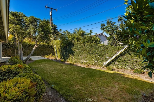 557 S Gardner Dr, Orange, CA 92866 - view of grassy yard
