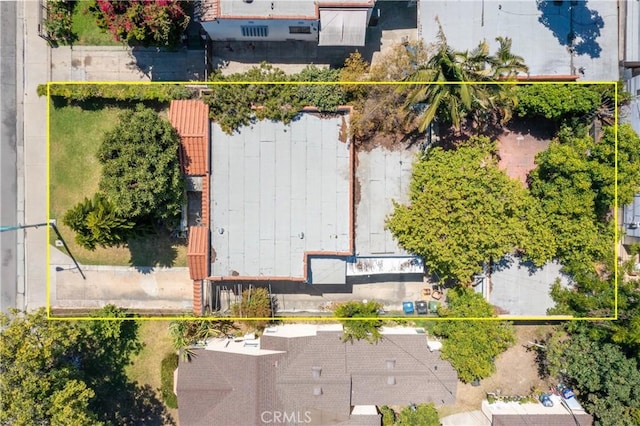 2439 California St, Walnut Park, CA 90255 - view of property location featuring property boundaries highlighted