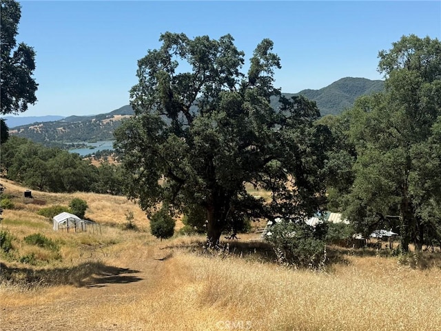 10606 Bachelor Valley Rd, Upper Lake, CA 95493 - photo 13