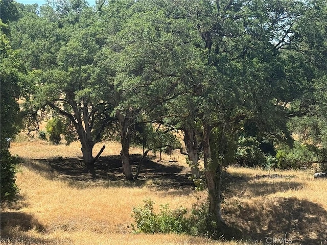 10606 Bachelor Valley Rd, Upper Lake, CA 95493 - photo 16