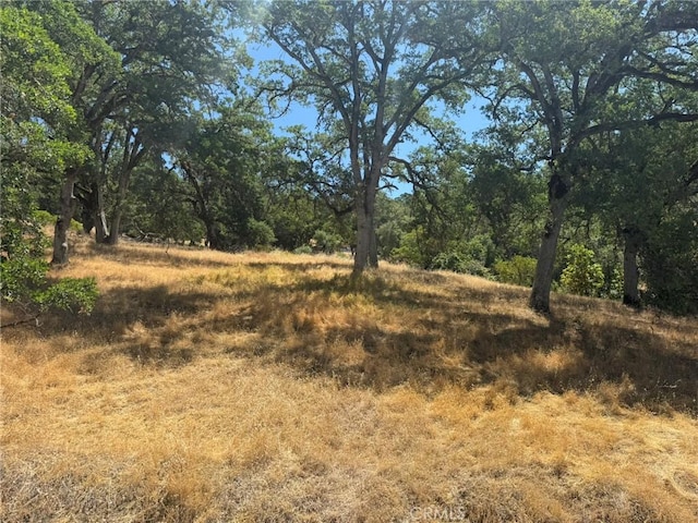 10606 Bachelor Valley Rd, Upper Lake, CA 95493 - photo 2