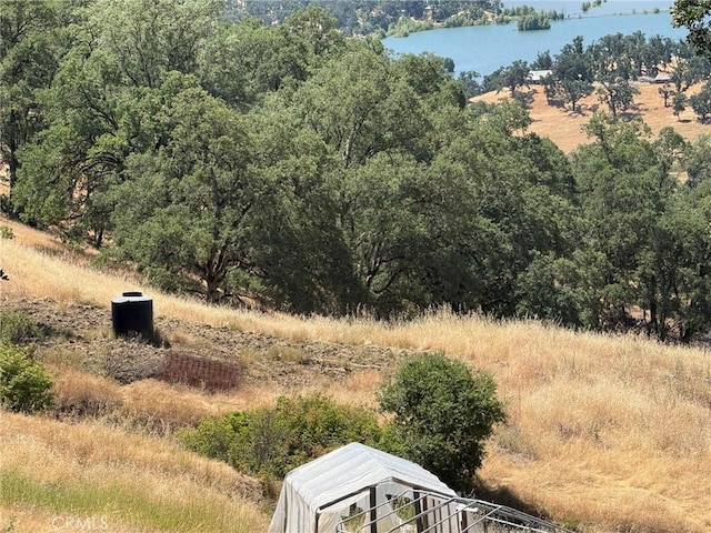 10606 Bachelor Valley Rd, Upper Lake, CA 95493 - photo 12