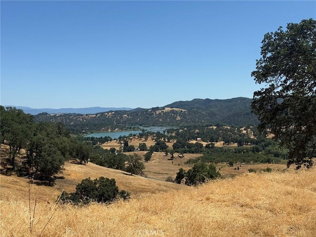 10606 Bachelor Valley Rd, Upper Lake, CA 95493 - photo 1