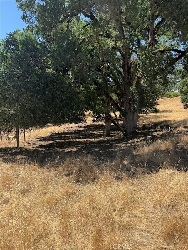 10606 Bachelor Valley Rd, Upper Lake, CA 95493 - photo 6