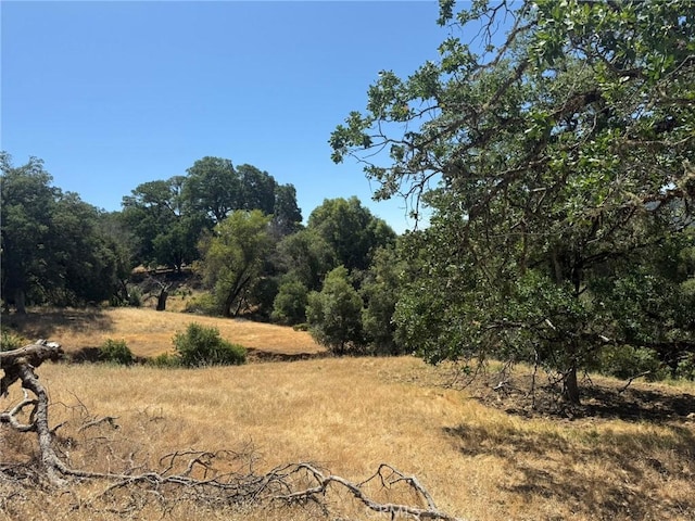 10606 Bachelor Valley Rd, Upper Lake, CA 95493 - photo 17