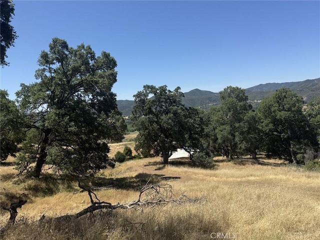 10606 Bachelor Valley Rd, Upper Lake, CA 95493 - photo 9