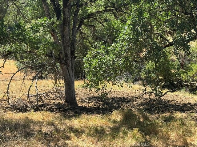 10606 Bachelor Valley Rd, Upper Lake, CA 95493 - photo 18