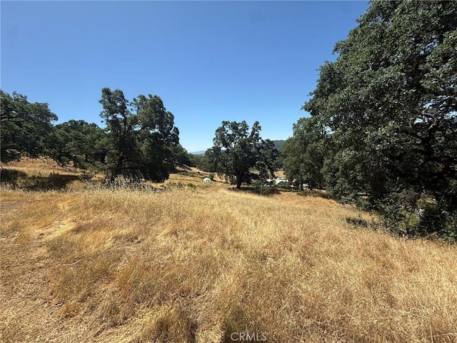 10606 Bachelor Valley Rd, Upper Lake, CA 95493 - photo 14