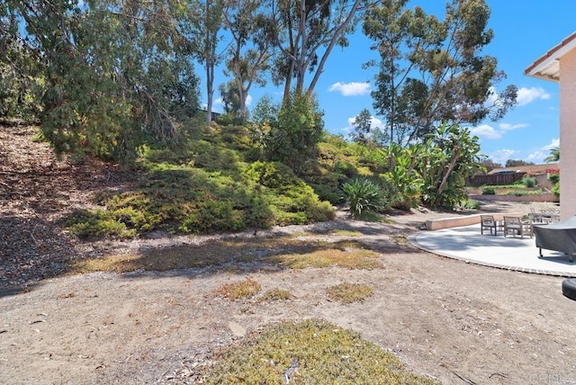 4356 Point Reyes Ct, Carlsbad, CA 92010 - view of yard with a patio