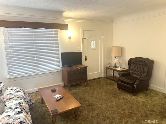 1316 Elm St, Alhambra, CA 91803 - living room with ornamental molding, carpet flooring, and a textured ceiling