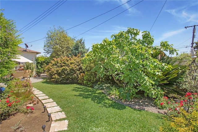 829 N Foxdale Ave, West Covina, CA 91790 - view of green lawn