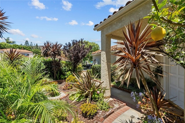 808 Links View Dr, Simi Valley, CA 93065 - view of yard
