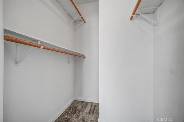 388 E Ocean Blvd Unit 1215, Long Beach, CA 90802 - walk in closet with carpet flooring