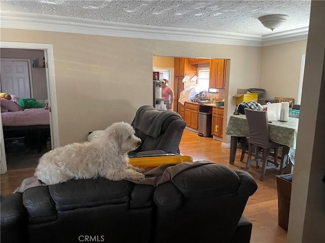 13213 Leffingwell Rd, Whittier, CA 90605 - living area featuring crown molding, light wood finished floors, and a textured ceiling