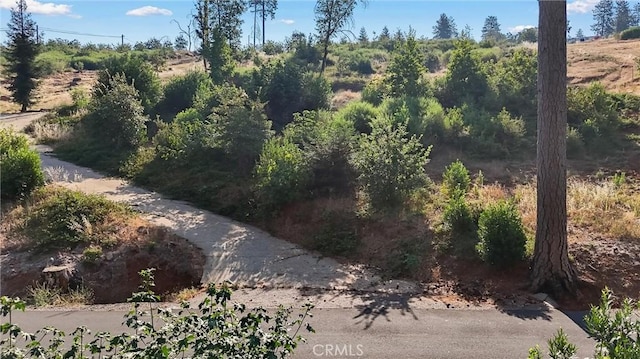 1975 Stearns Rd, Paradise, CA 95969 - photo 3