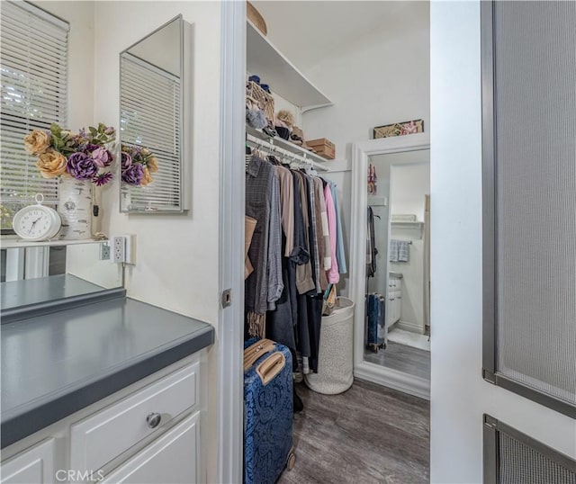 4900 E Chapman Ave Unit 24, Orange, CA 92869 - walk in closet with dark wood-style flooring