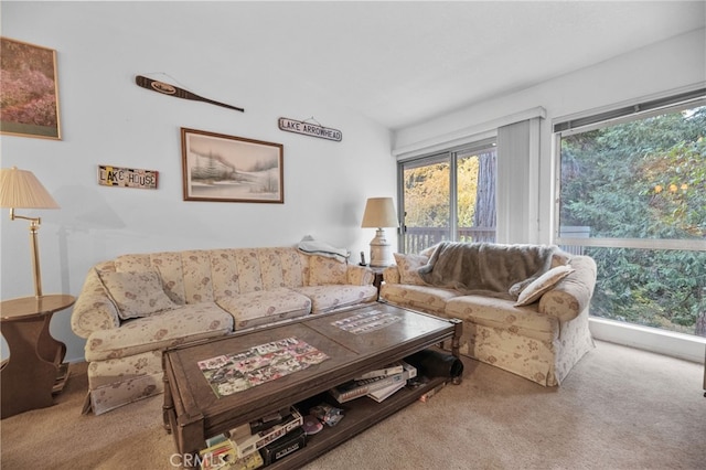 103 Rockledge Ln, Lake Arrowhead, CA 92352 - living area with carpet